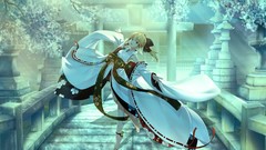 Fate stay night saber lily fate series detached sleeves 