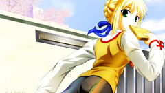 Fate stay night school