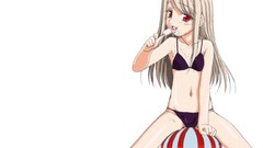 Fate stay night Simple