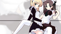 Fate stay night tohsaka