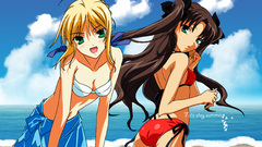 Fate stay night tohsaka