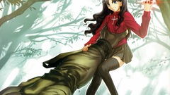 Fate stay night tohsaka