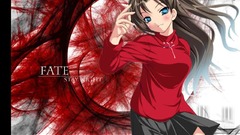 Fate stay night tohsaka