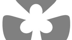 Fate stay night transparent