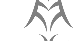 Fate stay night transparent