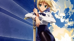 Fate stay night type-moon