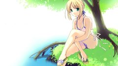 Fate stay night type-moon