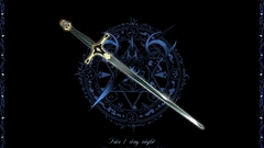 Fate stay night type-moon