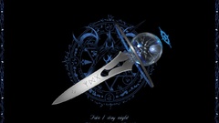 Fate stay night type-moon