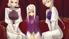 Fate stay night type-moon