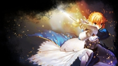 Fate stay night type-moon