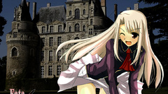 Fate stay night type-moon