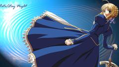 Fate stay night type-moon
