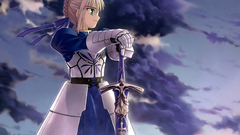 Fate stay night type-moon