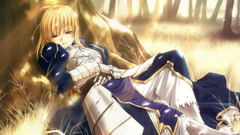 Fate stay night type-moon