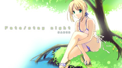 Fate stay night type-moon