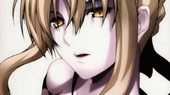 Fate stay night type-moon