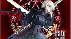 Fate stay night type-moon