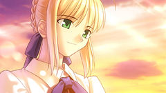 Fate stay night type-moon