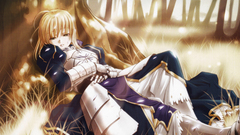 Fate stay night type-moon