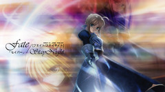 Fate stay night type-moon