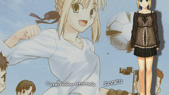 Fate stay night type-moon