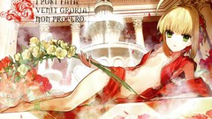 Fate stay night type-moon