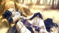 Fate stay night type-moon