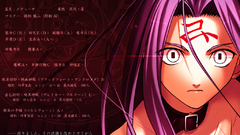 Fate stay night type-moon