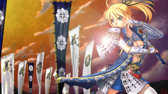 Fate Stay night Warriors