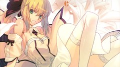 Fate Unlimited Codes anime