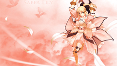 Fate Unlimited Codes saber