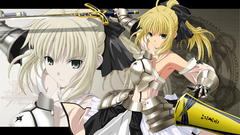 Fate Unlimited Codes saber