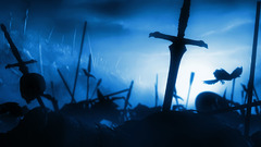 Fate zero fate series