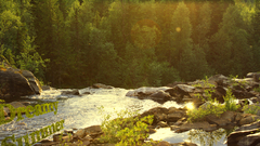 Fav dreamy summer My