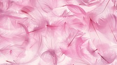 Feathers