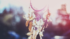Feathers bokeh sunlight dreamcatchers