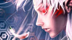 Feathers close-up white hair faces inuyasha long ears Sesshomaru