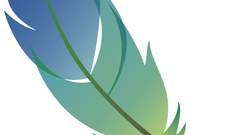 Feathers logos Photo manipulation