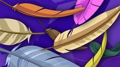 Feathers multicolor vectors