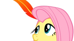 Feathers ponies my little pony My Little Pony: Friendship is 