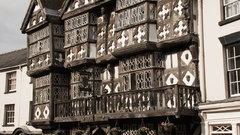 Feathers The high Resolution ludlow