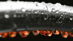 Feathers water drops