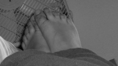 Feet grayscale