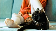 Feet woman legs Aleksey Yepanchintcev