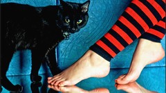 Feet woman legs Aleksey Yepanchintcev