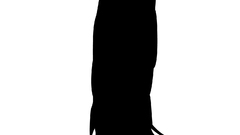 Feline monochrome cats Longcat