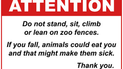 Fences Animals funny sick