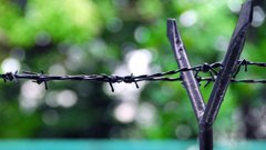 Fences barbed wire