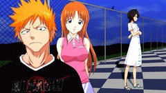 Fences bleach kurosaki ichigo inoue orihime kuchiki rukia